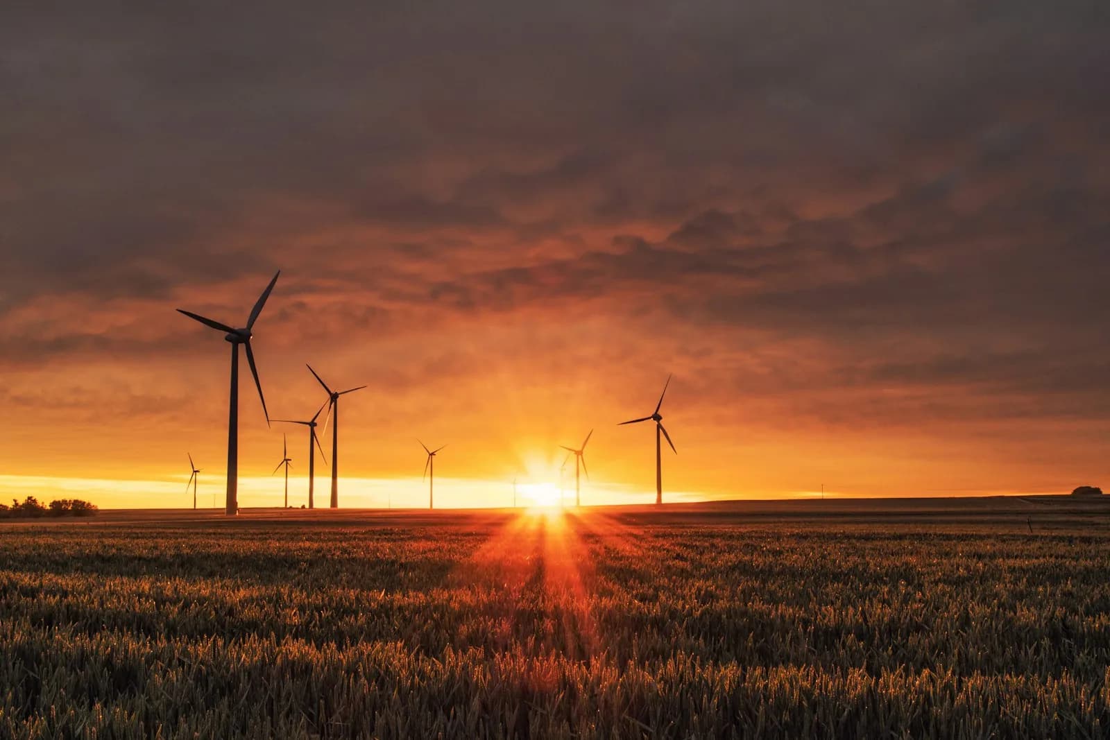Energy dealmakers reviewing renewable project data on-site at a wind farm