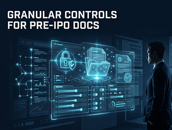Beyond 'View-Only' A Strategic Guide to Granular Controls for Pre-IPO Documents-cover