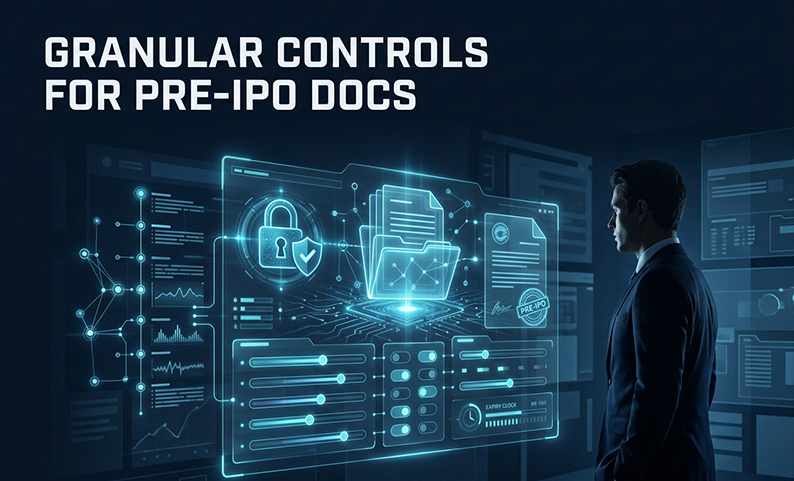 Beyond ‘View-Only’ A Strategic Guide to Granular Controls for Pre-IPO Documents-cover